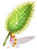 Fine Foxtail Model