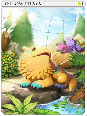 Yellow Pitaya Card