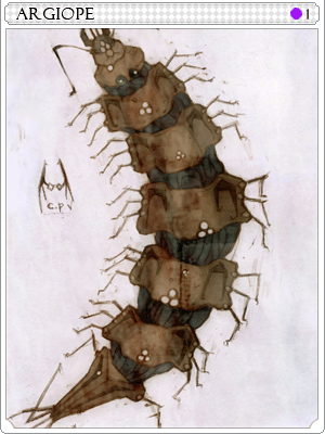 Argiope Card