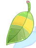 Raccoon Leaf